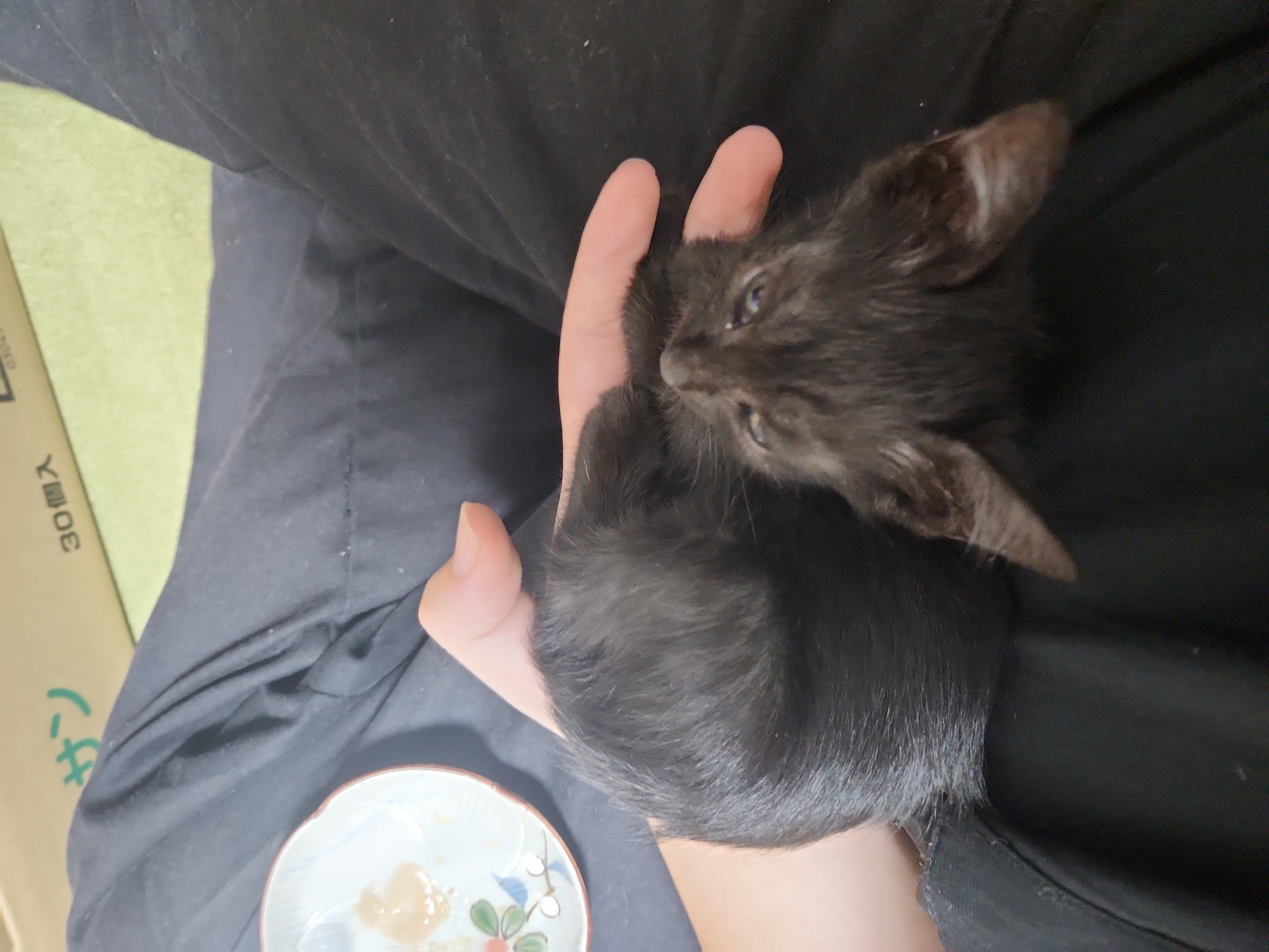 仲良くなった画像