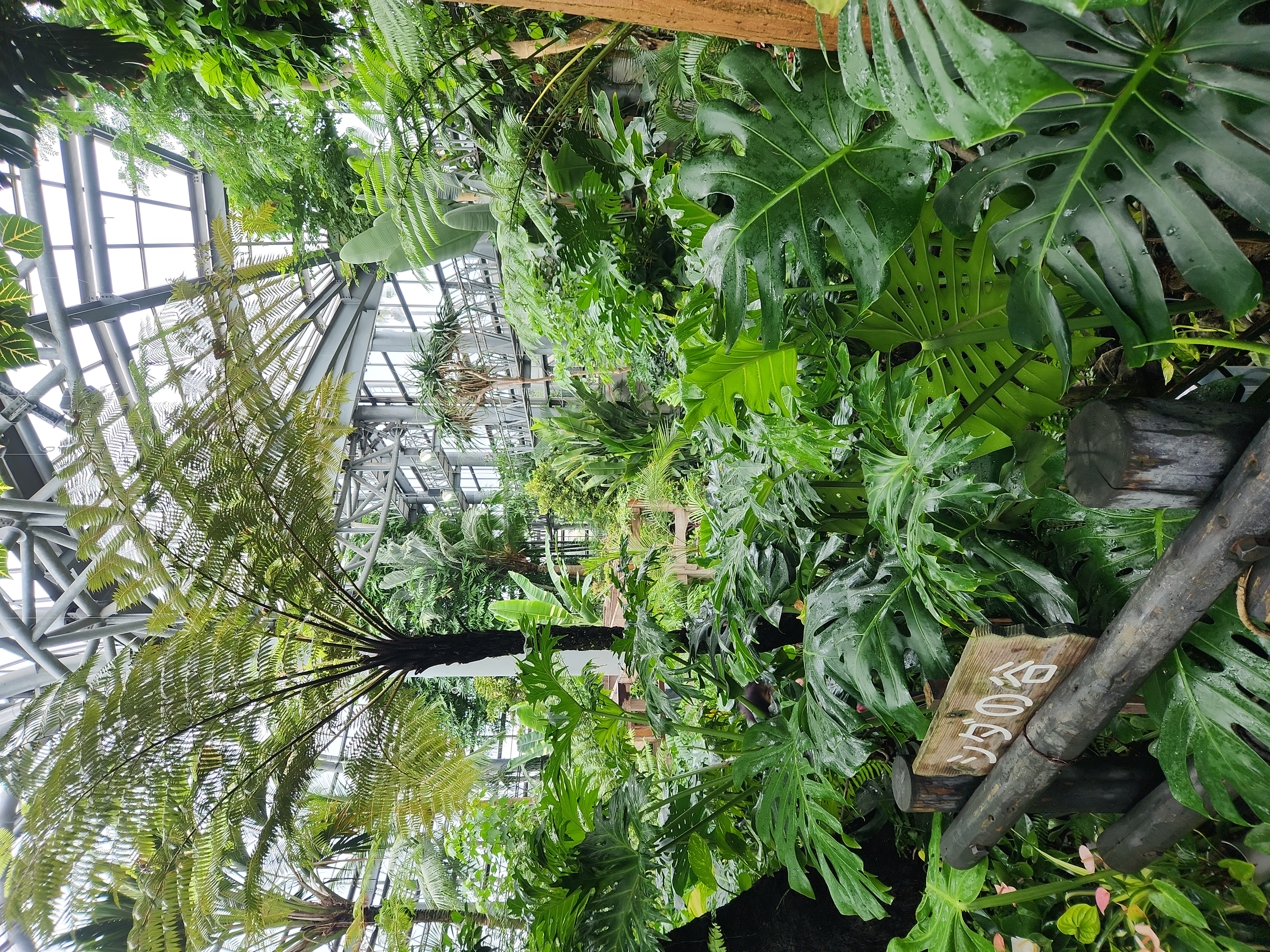植物園の画像1