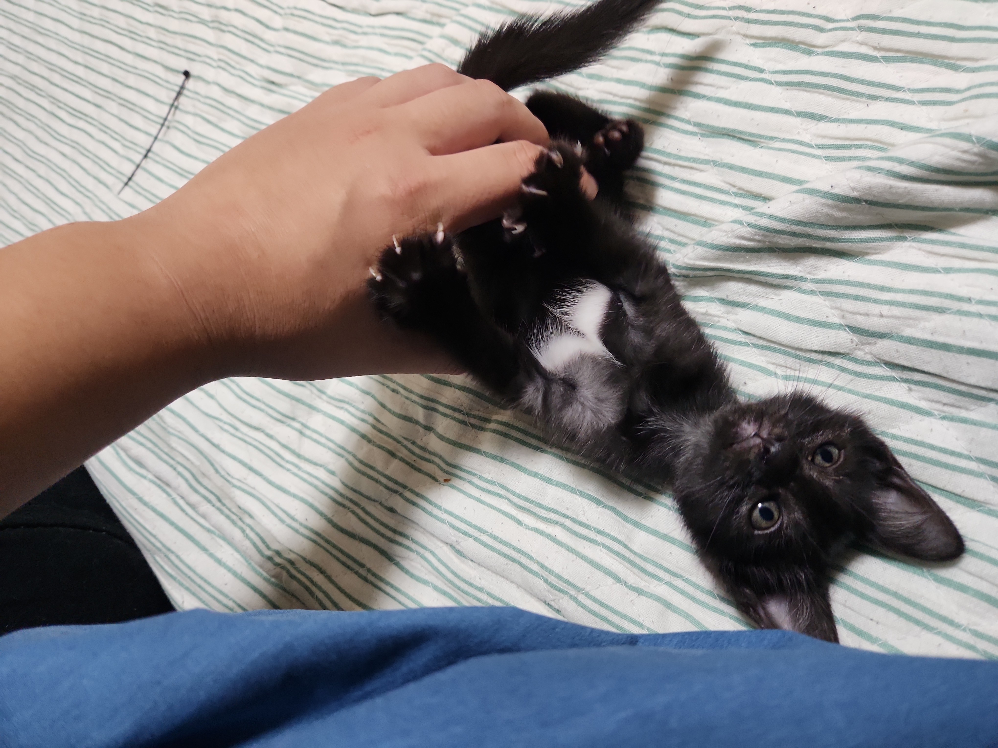 幸ちゃんの画像1