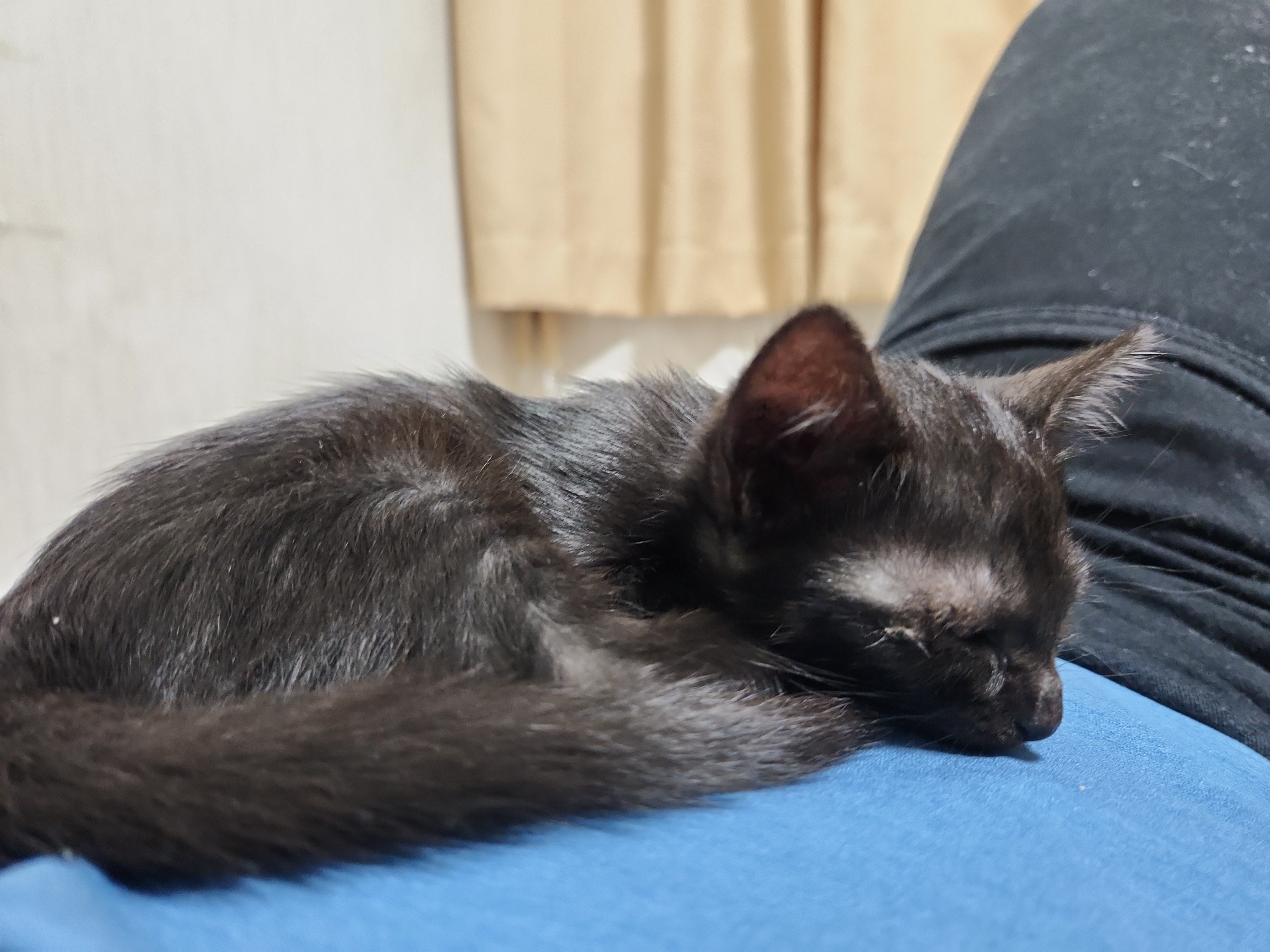 幸ちゃんの画像1