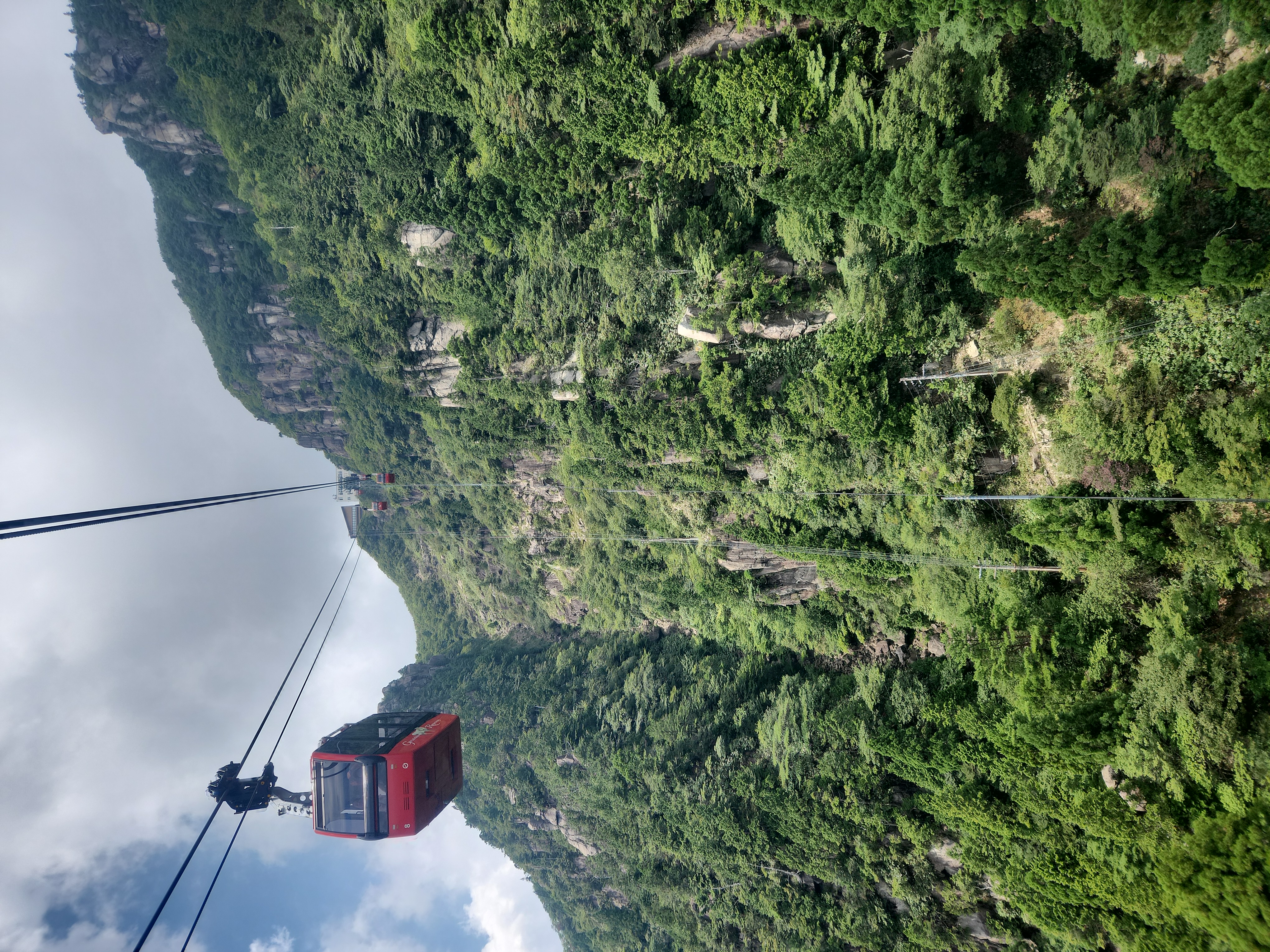 動いているときの写真