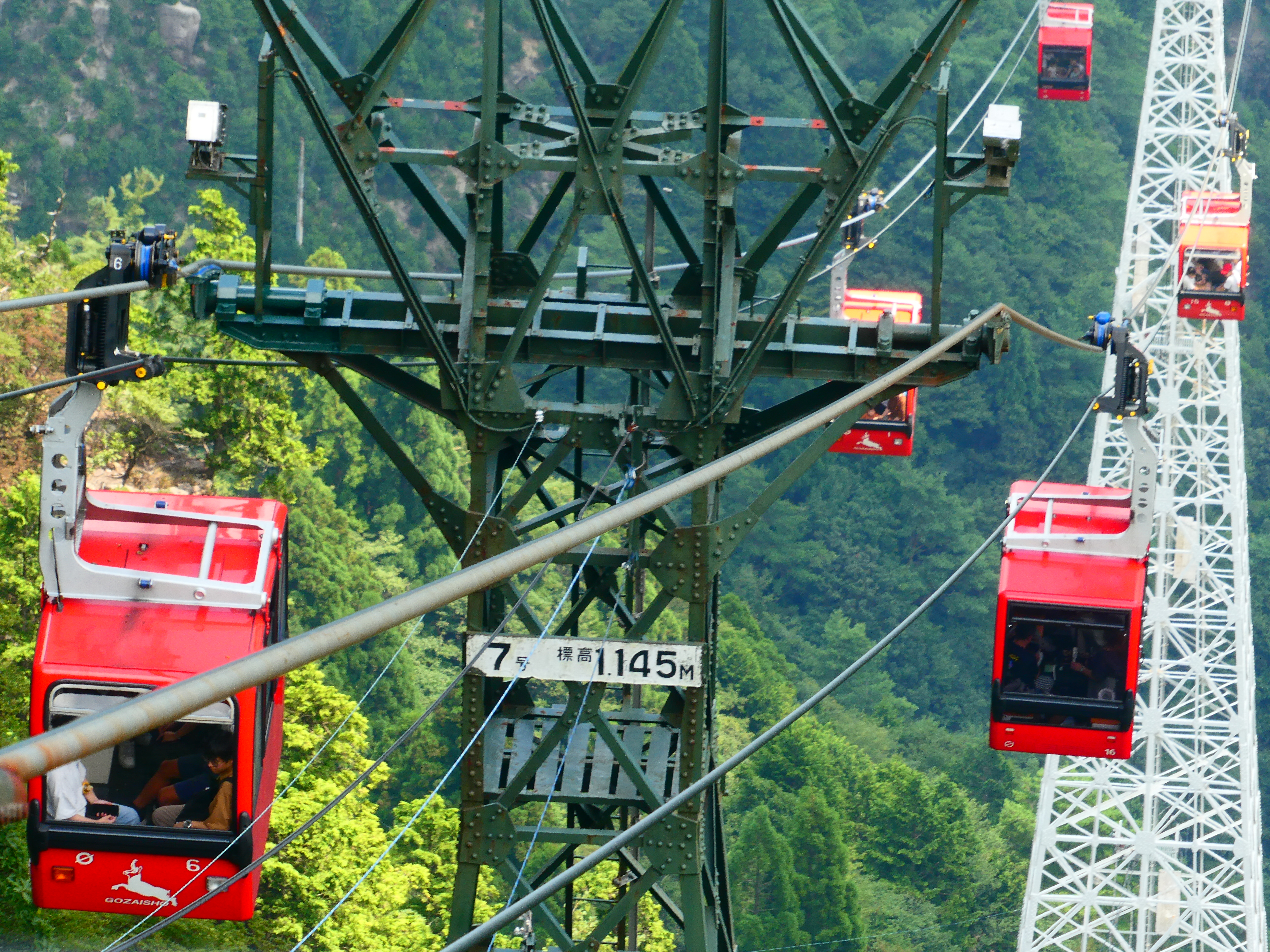 上から見下ろした写真